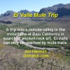 El Valle TMule
                Trip