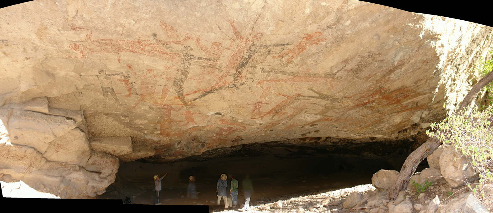 In this slideshow I have selected some of my favorite images from the ceiling of Cueva San Borjitas. This panorama, made from several images, shows the entire ceiling of the cave.