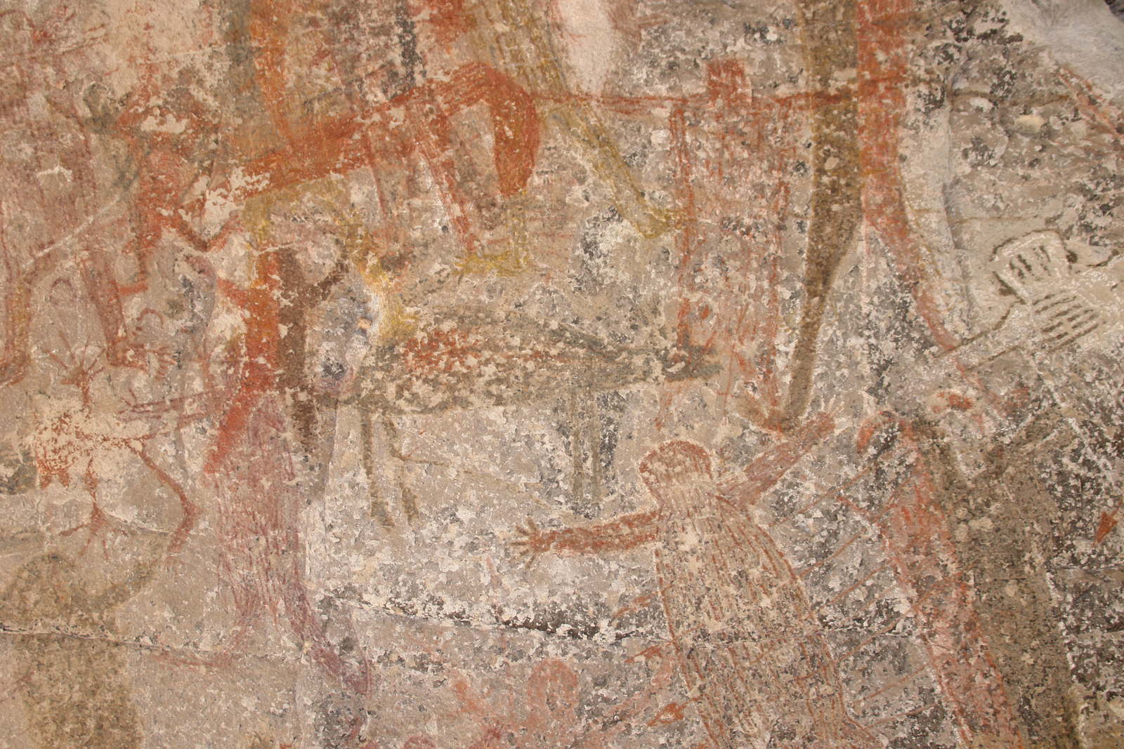 We move down a little and center on the black deer.