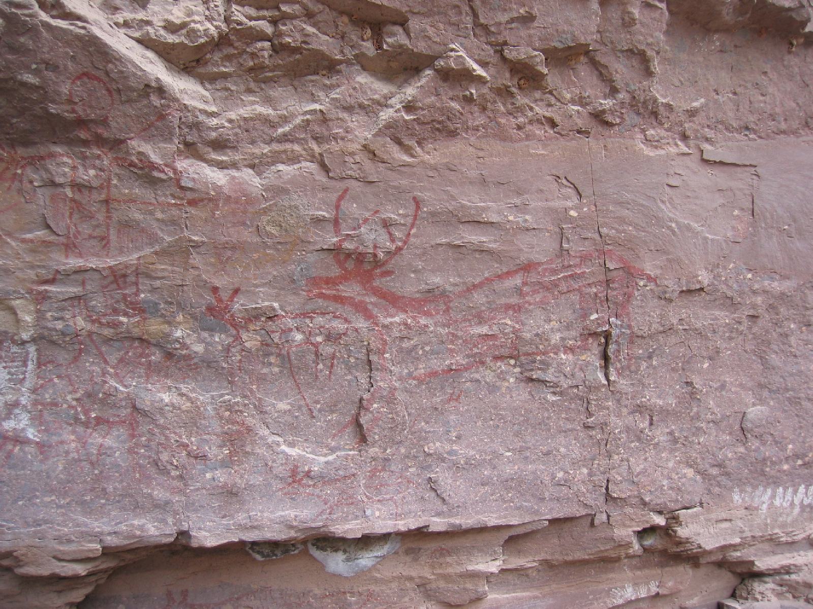 I visited Cueva La Trinidad in 2003. To get to it Salvador used a little inflatable boat. This is the Trinidad deer, consdered by Harry Crosby one of the most beautiful and affecting of the Painters' creations. The light was poor during my visit and my photo lacks contrast.