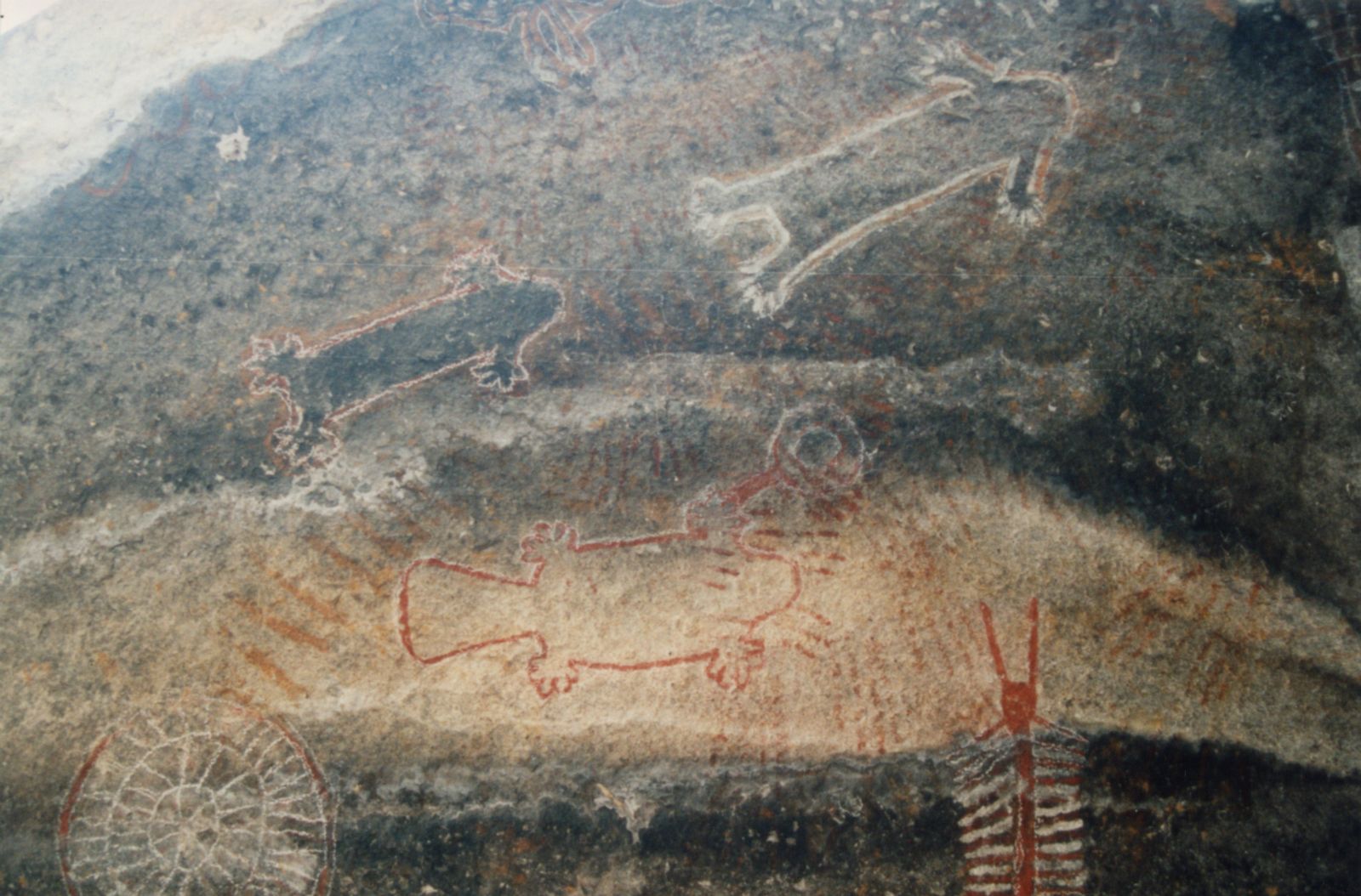 Tule River Painted Rock. The beaver pictograph on the ceiling.  Many pictographs at this site have been chalked.