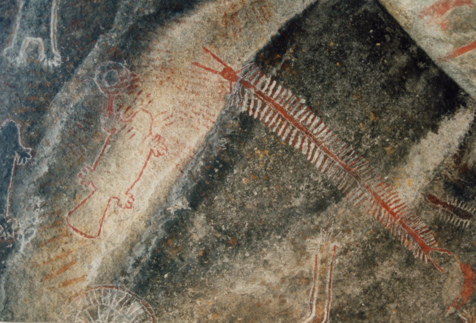 Tule River Painted Rock. The centipede and another view of the beaver.