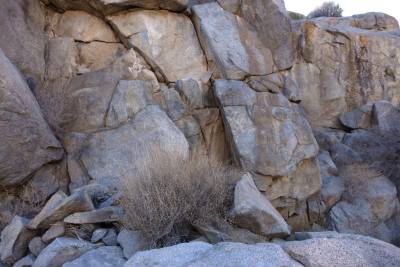 Mojave Preserve
        site