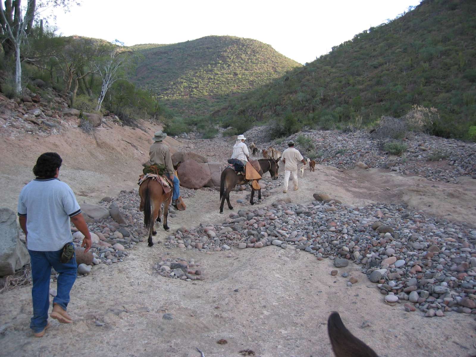 11/28/2007: We traveled by mule since the road had been wiped out by Hurricane John in 2006.